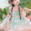 Boutique Pink Embroideried Ruffled Patchwork Tulle Kids Mid Dress Short Sleeve