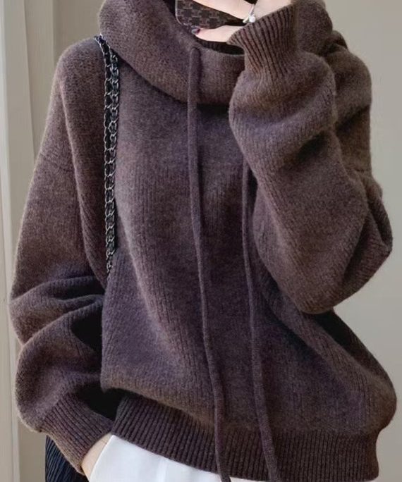 Brown Solid Cozy Wool Knit Sweater Hooded Spring