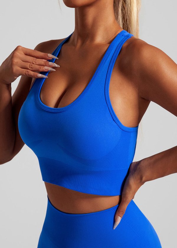 Casual Royal Blue Seamless Sports Bra And Leggings Set Suit Running Leggings - Image 3